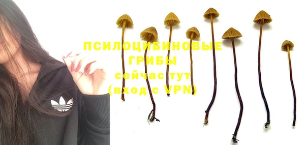 бутират Остров