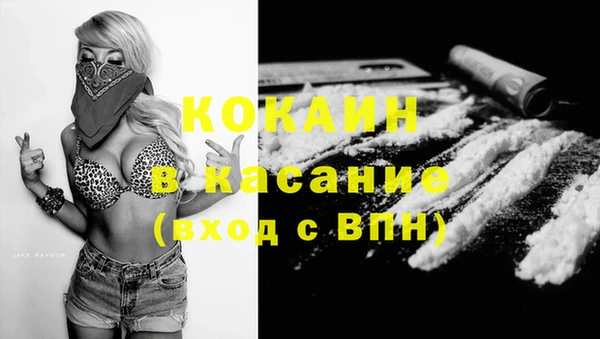 кокс Осташков
