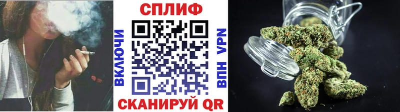 купить наркотик Белая Холуница Бошки Шишки гибрид